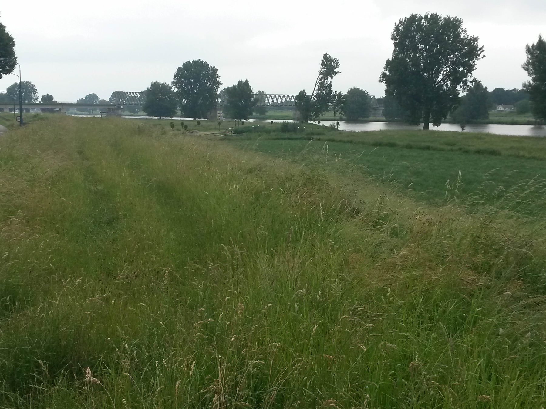 Spoorbrug tussen Katwijk Noord-Brabant en Mook